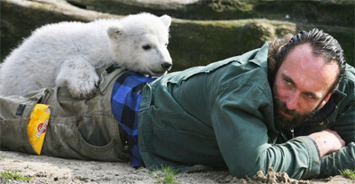 Tratador de ursinho Knut  encontrado morto na Alemanha