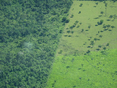 Emisso de CO2 por desmatamento na Amaznia cai 16%, diz Inpe