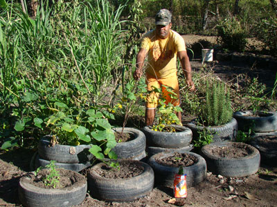 Pneus so usados para plantao em Maratazes