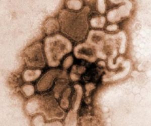 Colmbia confirma primeiro caso de gripe suna