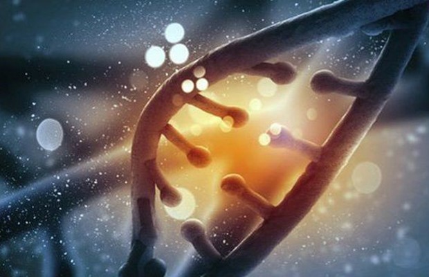 Islndia mapeia DNA de toda sua populao