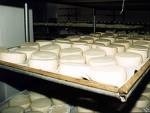 Quatro toneladas de queijo estragado so apreendidas em MG
