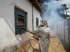 Pelo menos 1,2% da Populao de Catanduva Contraiu Dengue