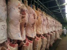 Exportao de carne bovina bate recorde em 2014