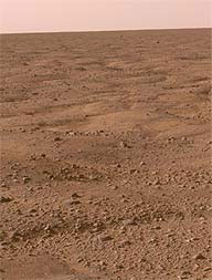 Substncia txica em Marte no elimina chances de vida 