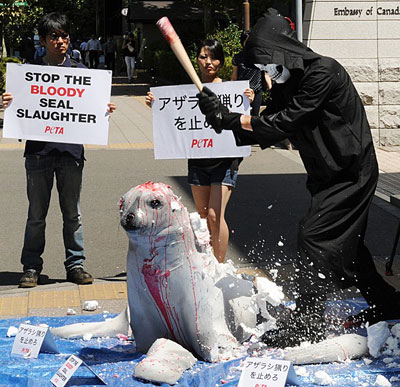 Ativistas da Peta protestam no Japo contra matana de focas pelo Canad