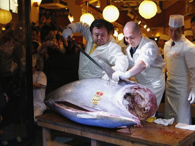 Atum vermelho de 222 kg  vendido no Japo por US$ 1,8 milho