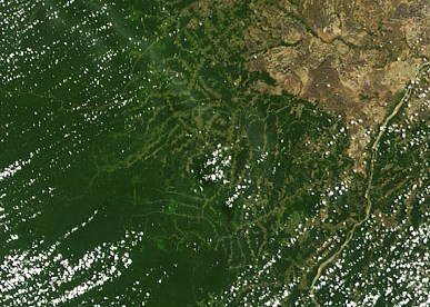 Mucaja (RR) lidera lista do desmatamento da Amaznia em mai