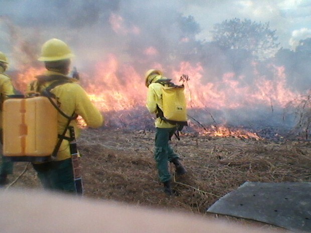 Ibama diz que causa do apago no pode ser atribuda a incndio no Piau