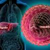 Programas de preveno e imunizao podem erradicar a hepati