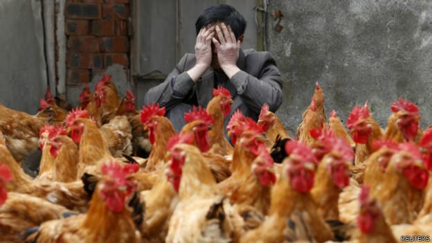 China confirma primeira morte por gripe aviria em 2015