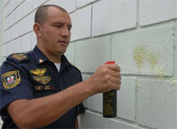 Guardas municipais testam spray imobilizador
