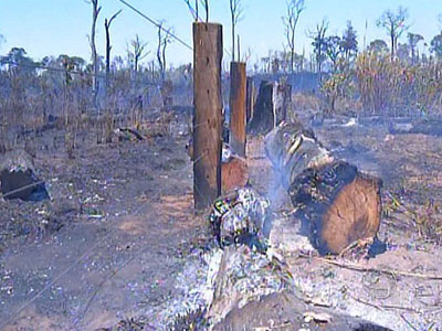Fogo atinge 30 propriedades rurais de MT e destri mais de 2 mil hectares