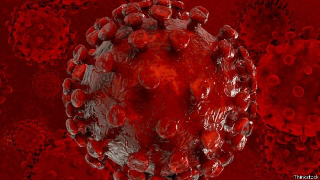 Testes com nova vacina indicam proteo total contra vrus