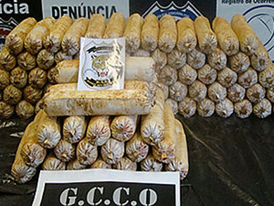 Polcia de MT encontra 98 bananas de dinamite enterradas em fazenda