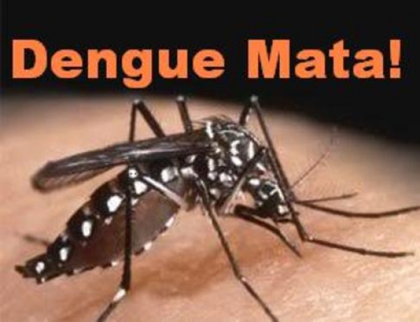 Vigilncia Epidemiolgica confirma casos de dengue em Chapad