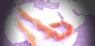 Controle do ebola vai demorar meses, diz ONU