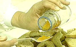 Caviar pantaneiro pode ser nova fonte de renda de pescadores