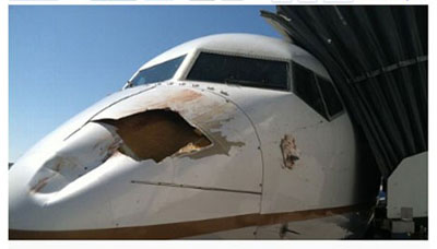 Avio  danificado por pssaro em pouso nos EUA