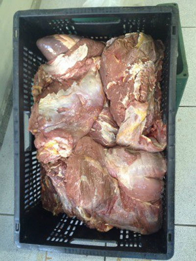 No Recife, carne de cavalo usada para fazer cachorro-quente  apreendida