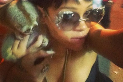 Rihanna ajuda a prender traficantes de animais
