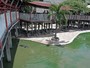 Mulher morre aps se jogar em lago de crocodilos na Tailndi