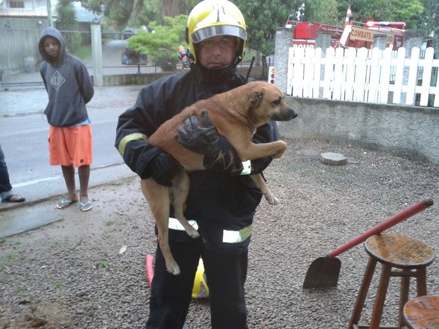 Cachorro fica preso em tubulao e  resgatado por bombeiros