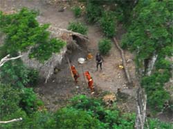 ndios de tribo isolada so fotografados pela primeira vez 
