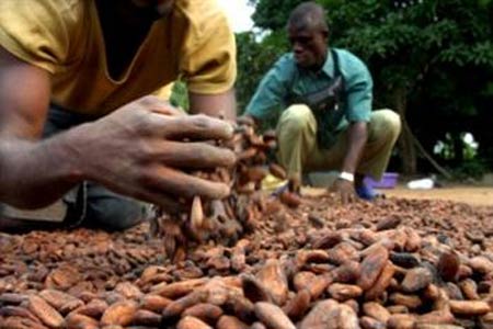 Costa do Marfim prolonga suspenso das exportaes de cacau por mais 21 dias 