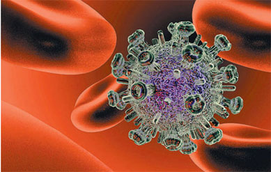 Vacina anti-HIV tem sucesso em testes