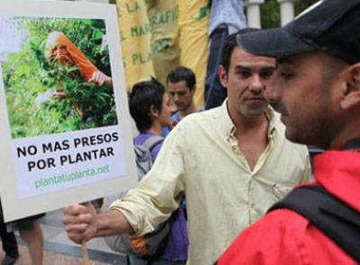 Uruguai pode ser o primeiro pas a legalizar cultivo e venda da maconha