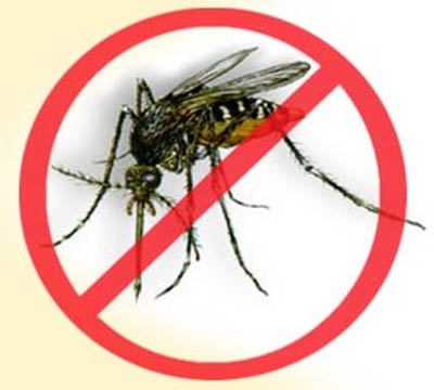 Vamos juntos combater a Dengue (E, por falar nisso, voc faz