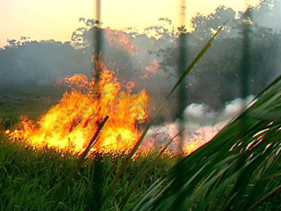 Incndio na reserva de Jacarenema  controlado no ES