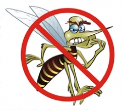 Itapemirim no combate a dengue
