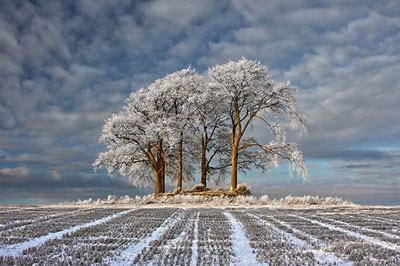 Imagem de campo nevado vence concurso britnico de fotos de paisagens
