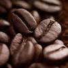 Conab v queda de 7,7% na safra de caf do Brasil em 2014 an
