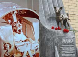 Russos fazem monumento  cadela Laika