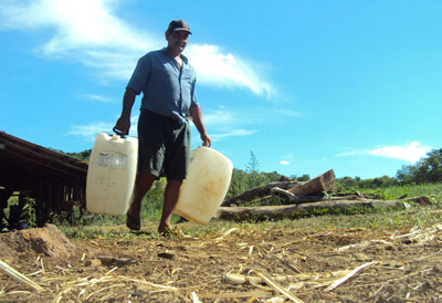 Agricultores sofrem com a seca no RS: 