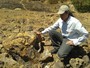 Paleontlogos denunciam vandalismo na Floresta Fssil