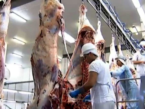MS registra recorde de abate de bovinos em 2013, diz IBGE