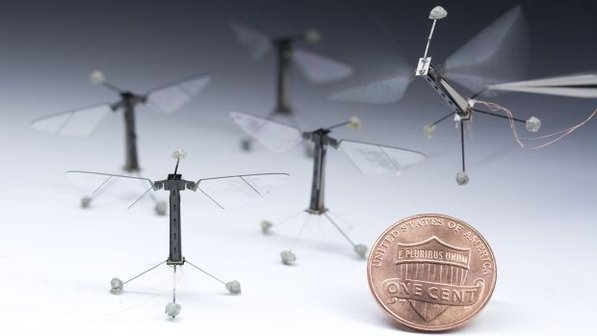 Cientistas fazem primeiro teste de voo de inseto rob