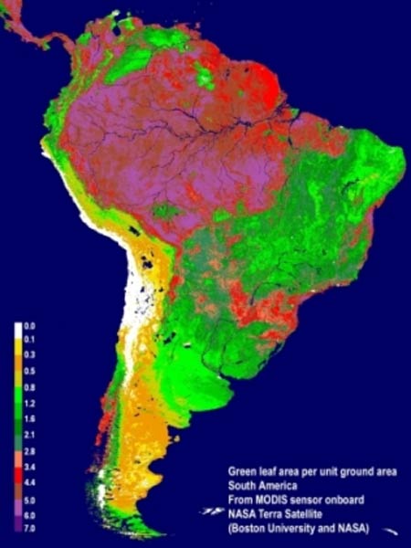 Satlite da Nasa detecta impactos da seca na floresta amaznica