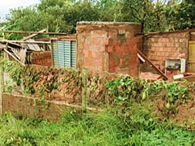Tempestade destri lavouras e casas em comunidade rural de Uberaba, MG