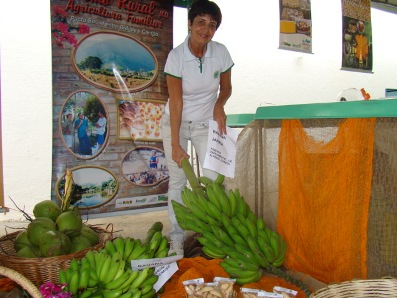 Bananas resistentes  sigatoka-negra e a ao mal do Panam