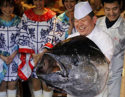 Atum vermelho de 269 kg  vendido por R$ 1,35 milho no Japo