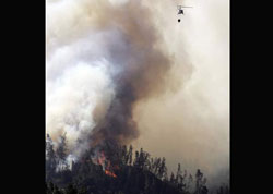 Incndio destri regio florestal na Califrnia