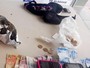 Polcia prende suspeitos de trfico de drogas em So Miguel 