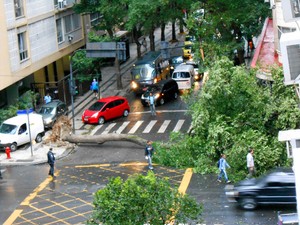 Ventos chegam a 97 km/h no Rio e queda de rvores complica trnsito