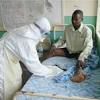Vacina contra ebola d imunidade a macacos e traz esperana