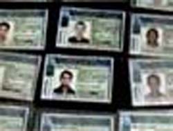 Policia - Presos 20 suspeitos de envolvimento em fraude da CNH